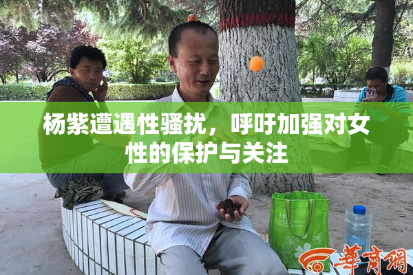 杨紫遭遇性骚扰，呼吁加强对女性的保护与关注