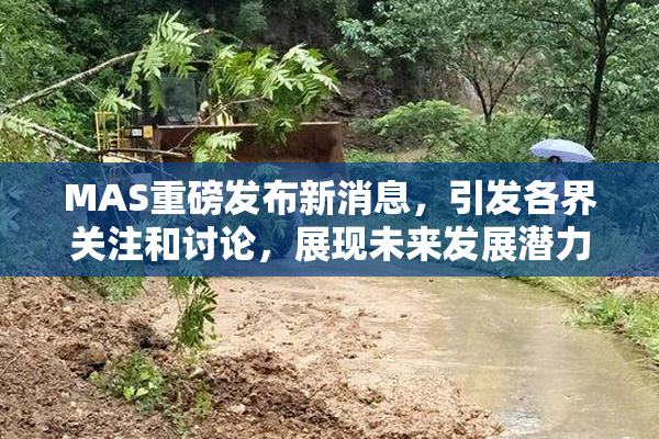 MAS重磅发布新消息，引发各界关注和讨论，展现未来发展潜力