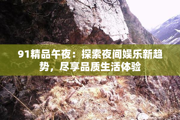 91精品午夜：探索夜间娱乐新趋势，尽享品质生活体验