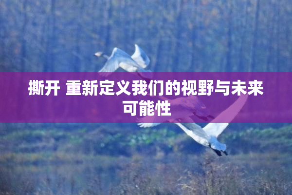 撕开 重新定义我们的视野与未来可能性