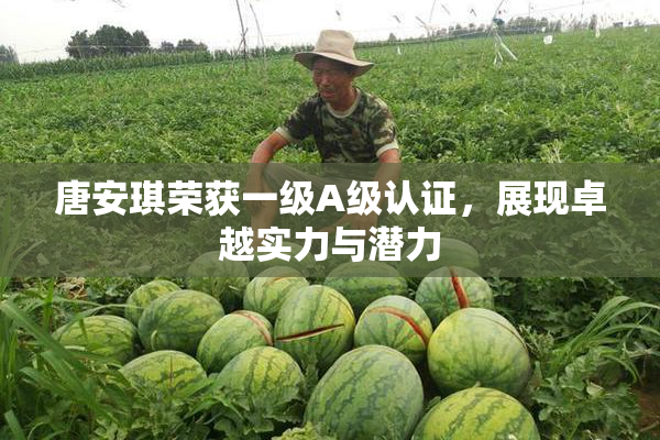唐安琪荣获一级A级认证，展现卓越实力与潜力