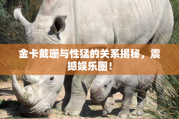 金卡戴珊与性猛的关系揭秘，震撼娱乐圈！