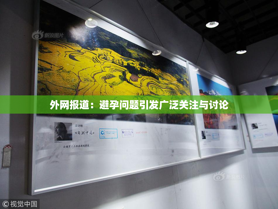 外网报道：避孕问题引发广泛关注与讨论