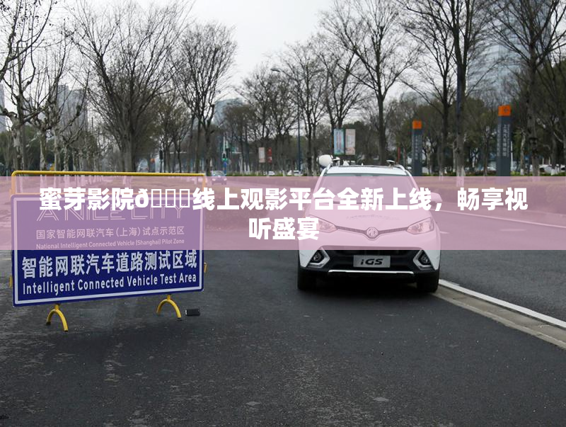 蜜芽影院🔞线上观影平台全新上线，畅享视听盛宴