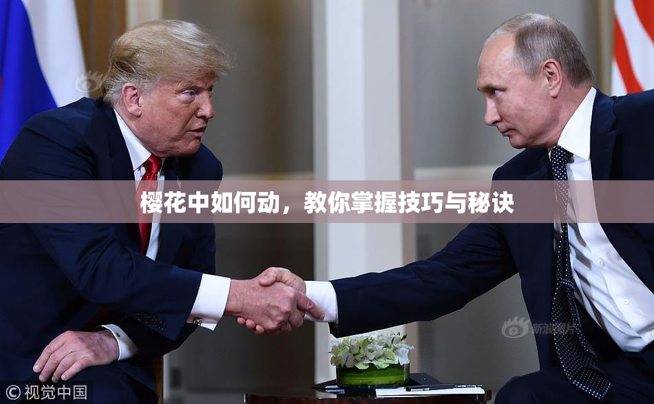 樱花中如何动，教你掌握技巧与秘诀