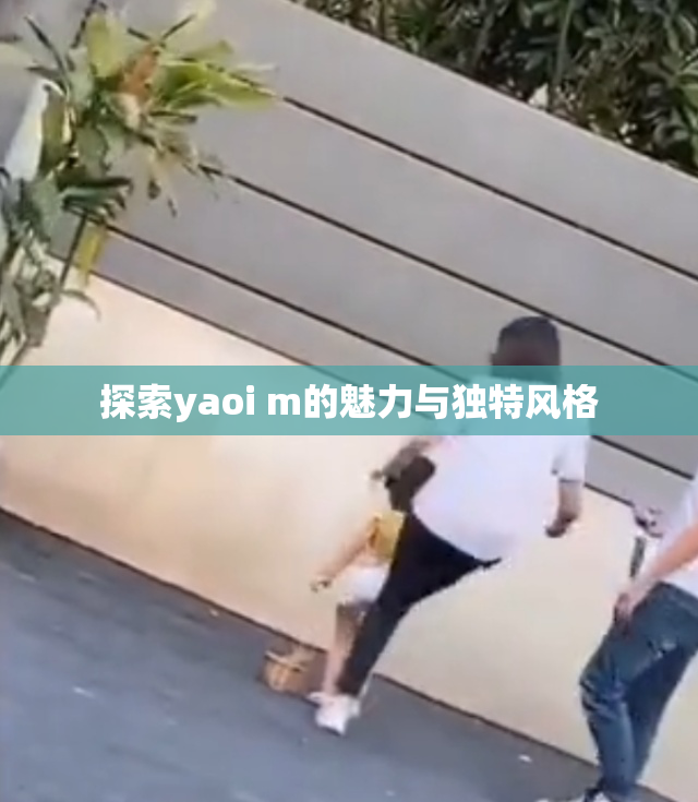 探索yaoi m的魅力与独特风格