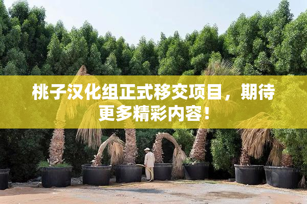 桃子汉化组正式移交项目，期待更多精彩内容！