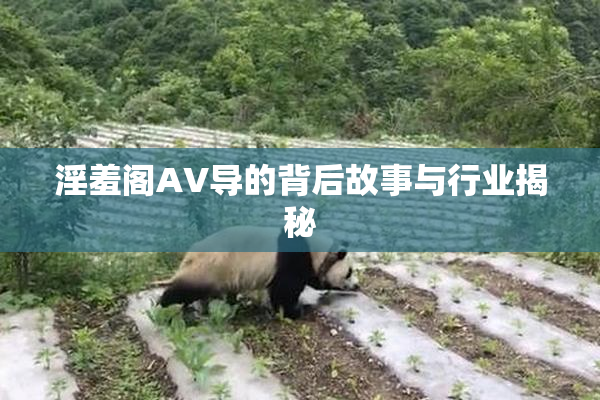 淫羞阁AV导的背后故事与行业揭秘