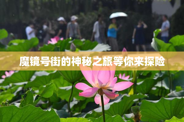 魔镜号街的神秘之旅等你来探险