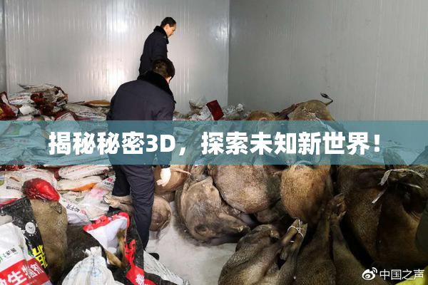 揭秘秘密3D，探索未知新世界！