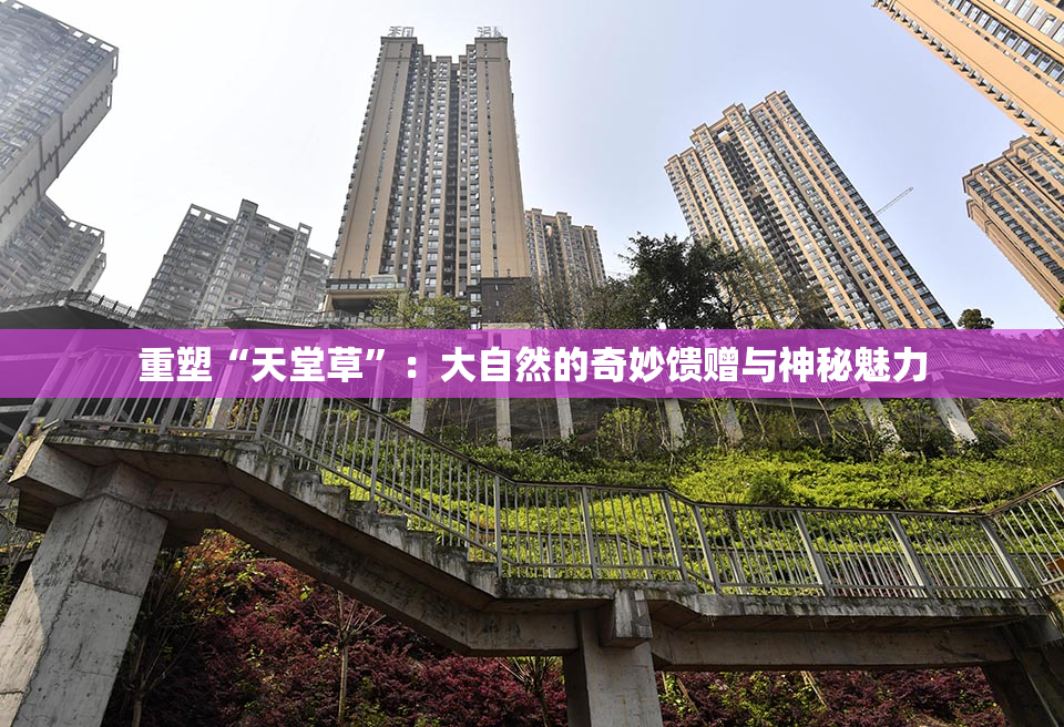 重塑“天堂草”：大自然的奇妙馈赠与神秘魅力