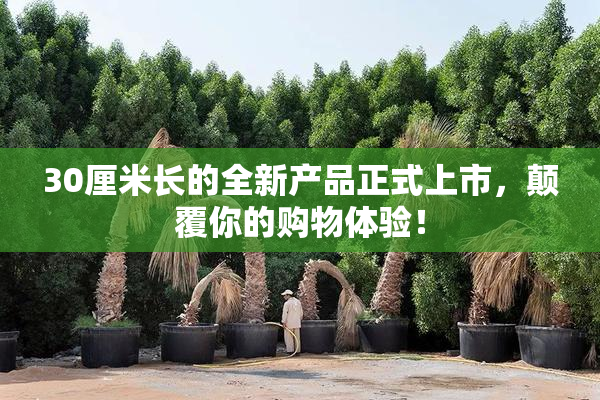 30厘米长的全新产品正式上市，颠覆你的购物体验！