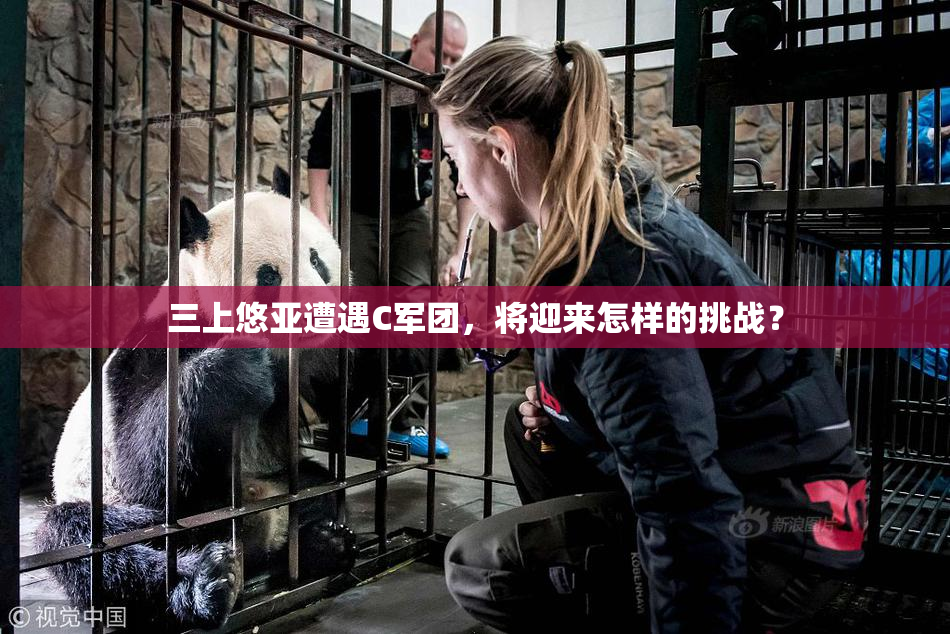 三上悠亚遭遇C军团，将迎来怎样的挑战？