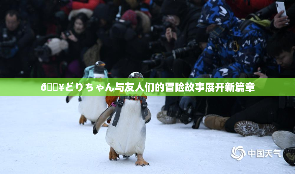 🔥どりちゃん与友人们的冒险故事展开新篇章