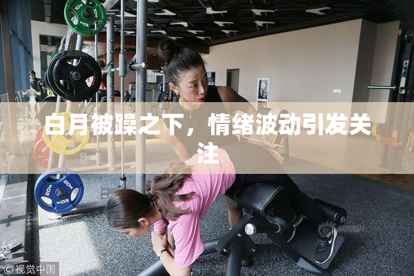 白月被躁之下，情绪波动引发关注