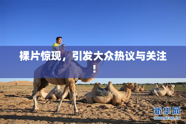 裸片惊现，引发大众热议与关注！