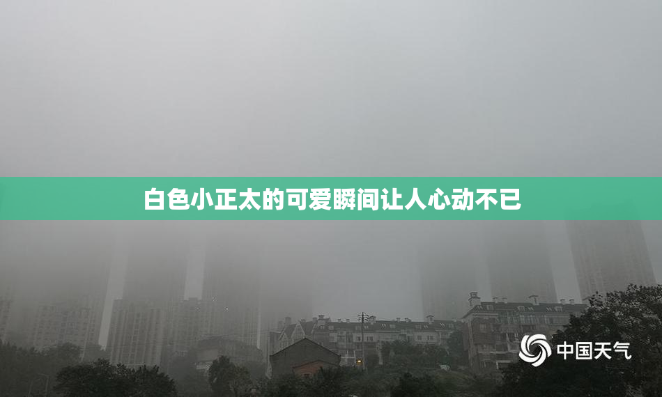 白色小正太的可爱瞬间让人心动不已