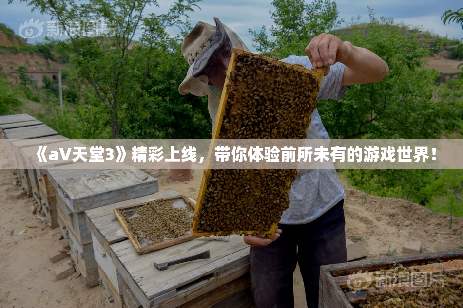 《a∨天堂3》精彩上线，带你体验前所未有的游戏世界！