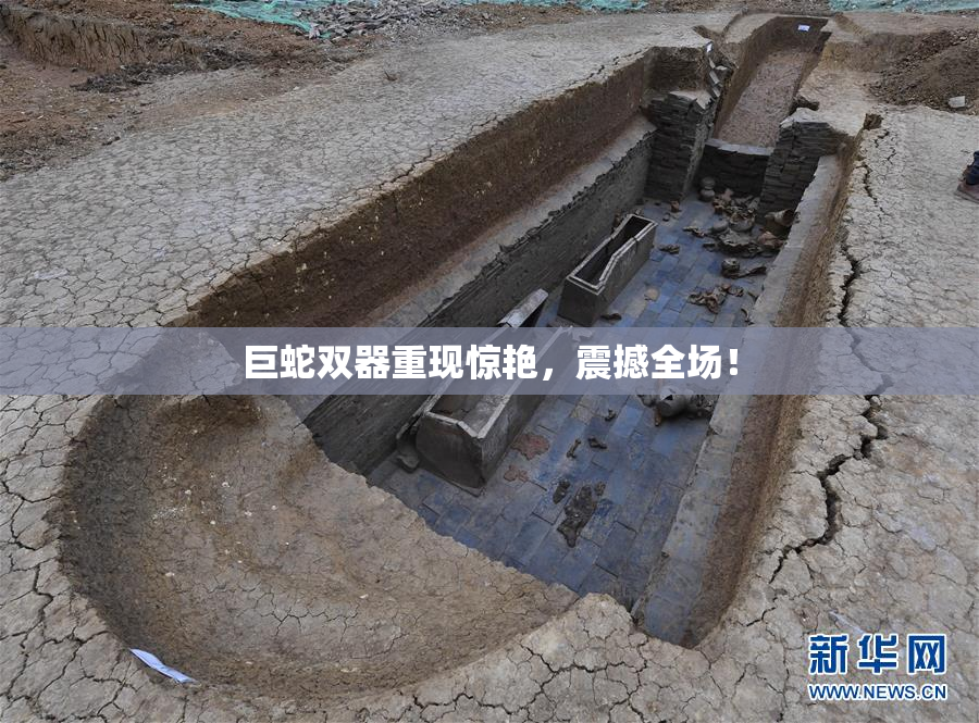 巨蛇双器重现惊艳，震撼全场！