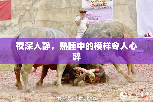 夜深人静，熟睡中的模样令人心醉