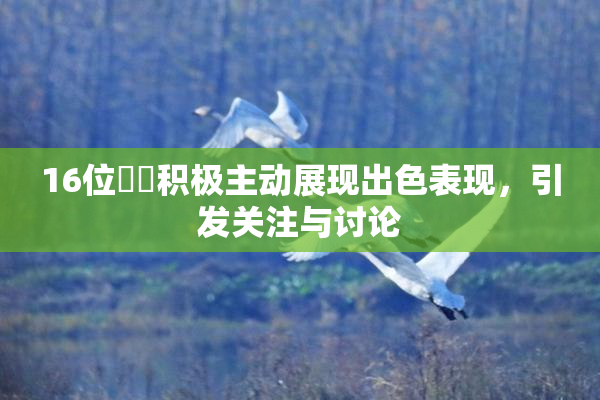 16位妺妺积极主动展现出色表现，引发关注与讨论