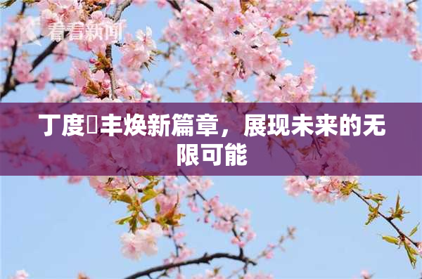 丁度巜丰焕新篇章，展现未来的无限可能