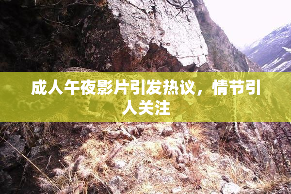 成人午夜影片引发热议，情节引人关注