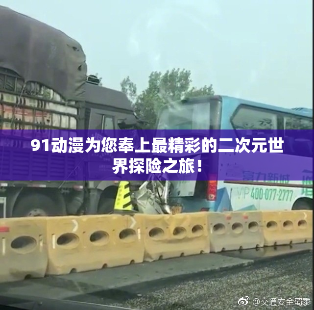 91动漫为您奉上最精彩的二次元世界探险之旅！