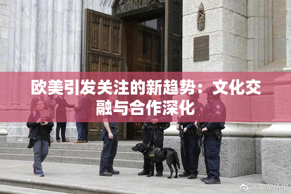 欧美引发关注的新趋势：文化交融与合作深化