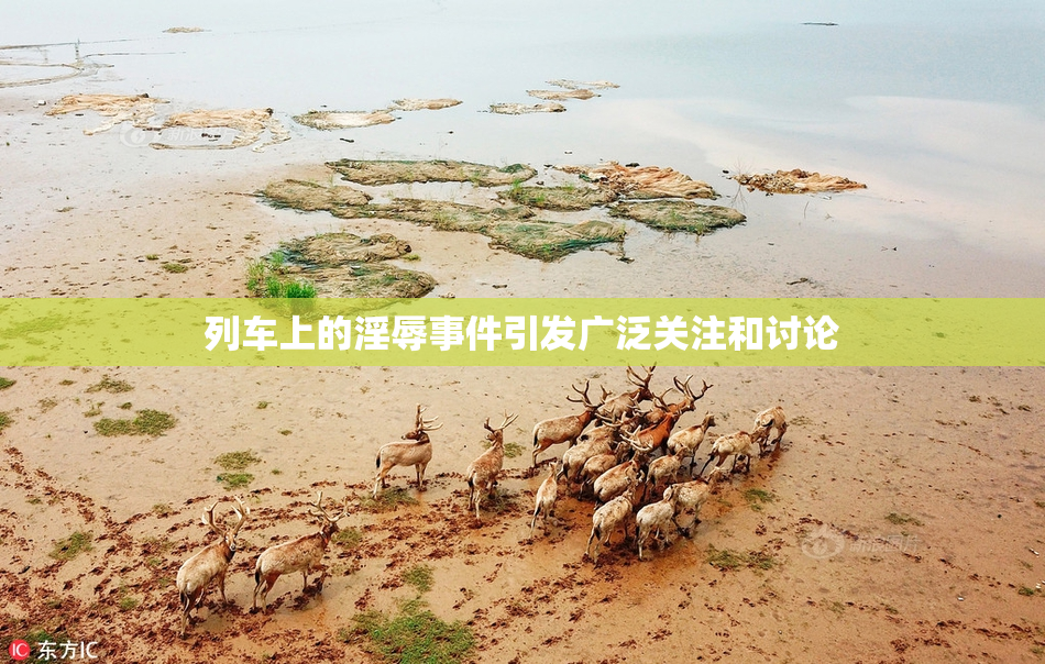 列车上的淫辱事件引发广泛关注和讨论
