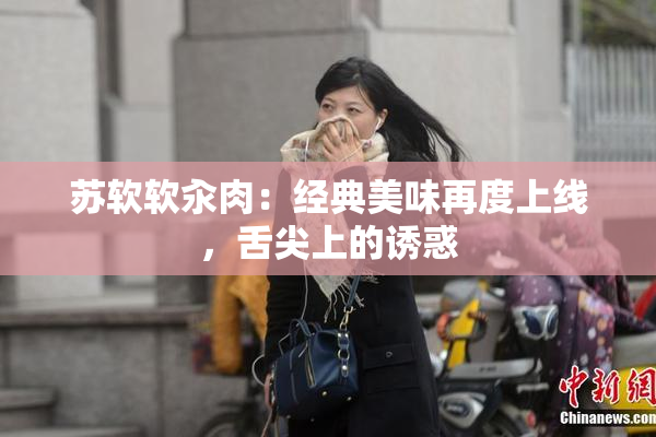 苏软软汆肉：经典美味再度上线，舌尖上的诱惑