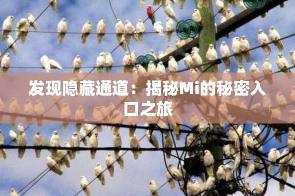 发现隐藏通道：揭秘Mi的秘密入口之旅
