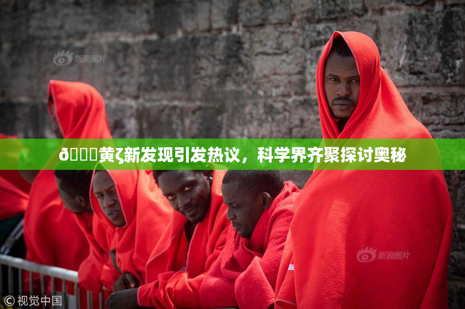 🔞黄ζ新发现引发热议，科学界齐聚探讨奥秘