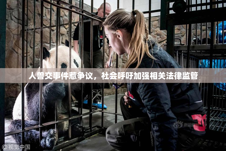 人兽交事件惹争议，社会呼吁加强相关法律监管
