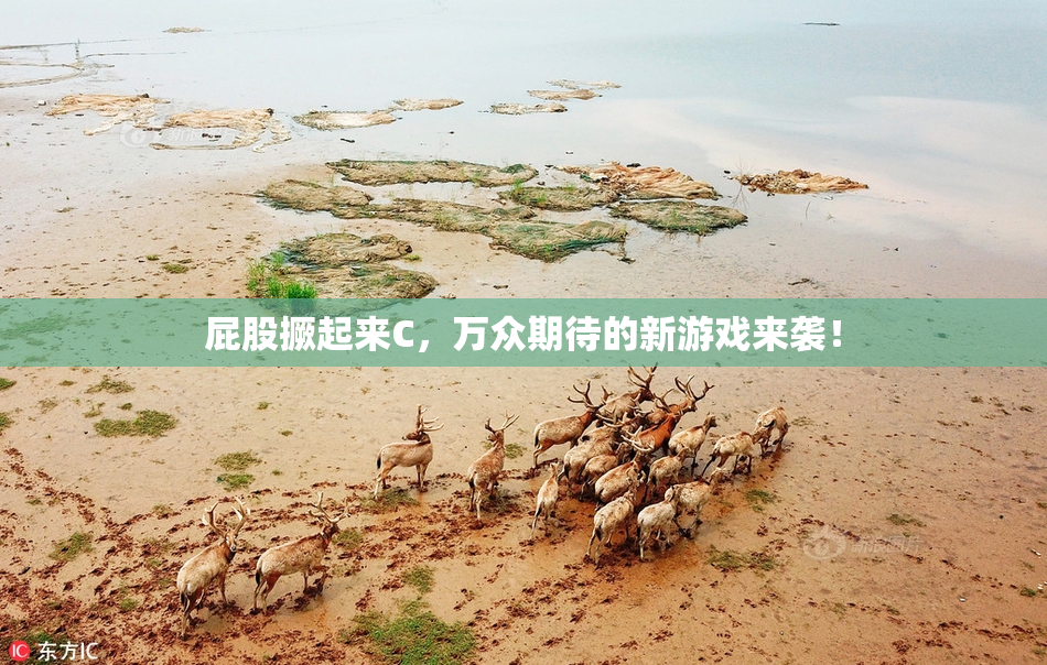 屁股撅起来C，万众期待的新游戏来袭！