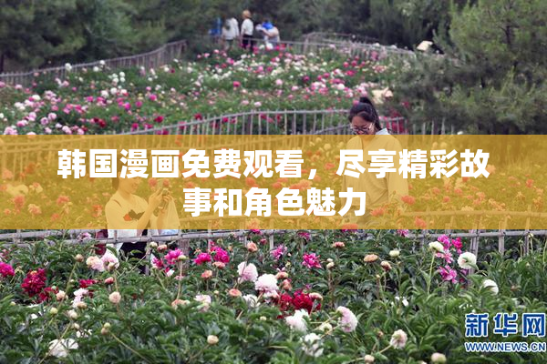 韩国漫画免费观看，尽享精彩故事和角色魅力