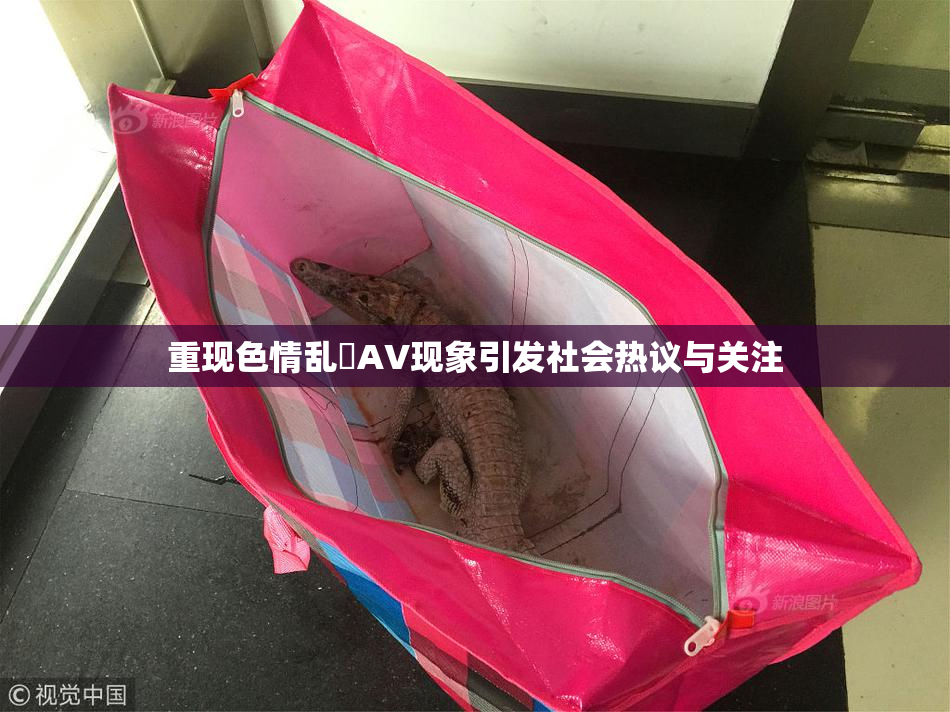 重现色情乱婬AV现象引发社会热议与关注