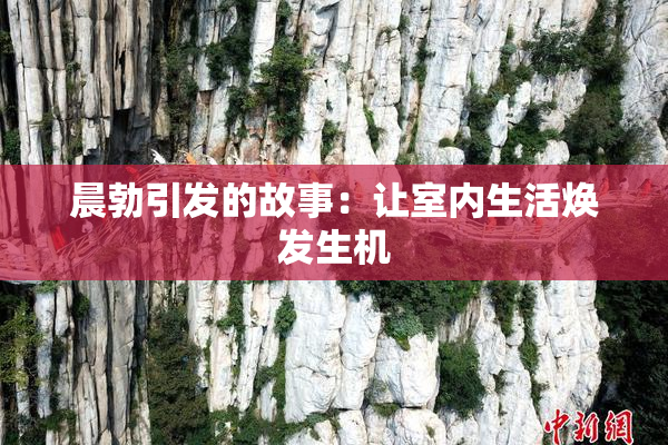 晨勃引发的故事：让室内生活焕发生机