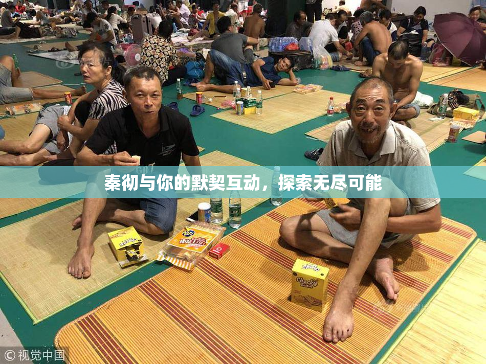 秦彻与你的默契互动，探索无尽可能