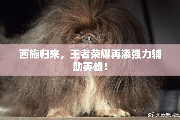 西施归来，王者荣耀再添强力辅助英雄！