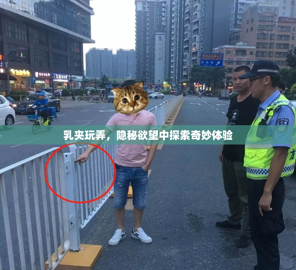 乳夹玩弄，隐秘欲望中探索奇妙体验