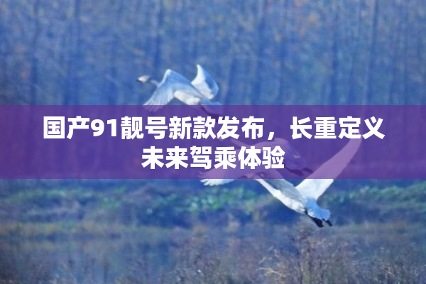 国产91靓号新款发布，长重定义未来驾乘体验