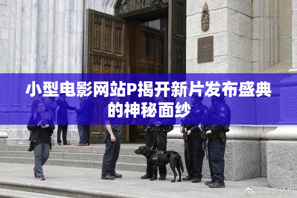 小型电影网站P揭开新片发布盛典的神秘面纱