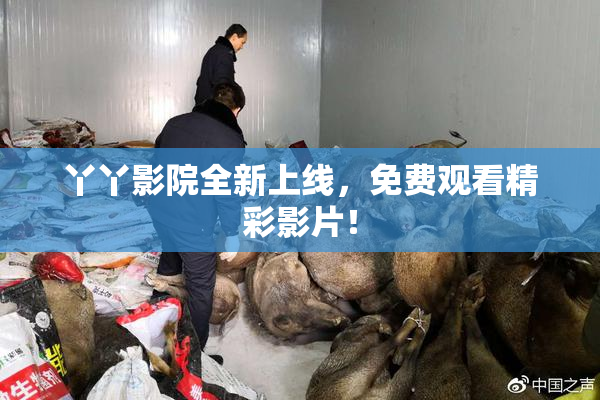 丫丫影院全新上线，免费观看精彩影片！