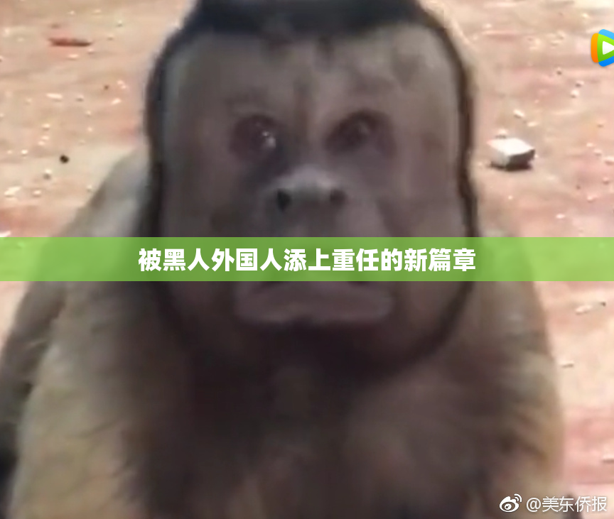 被黑人外国人添上重任的新篇章
