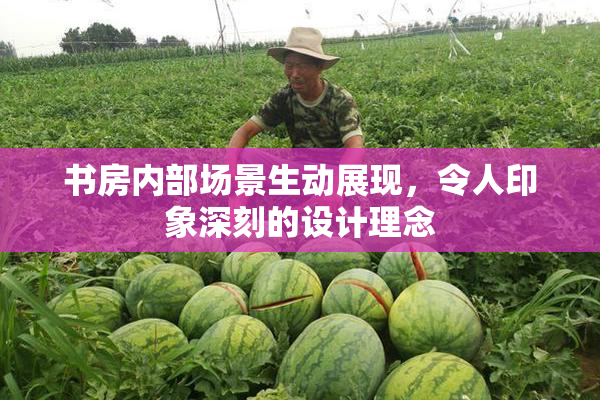书房内部场景生动展现，令人印象深刻的设计理念