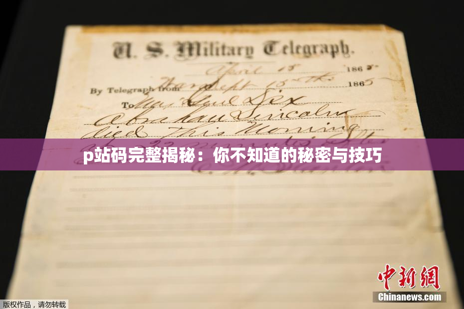 p站码完整揭秘：你不知道的秘密与技巧