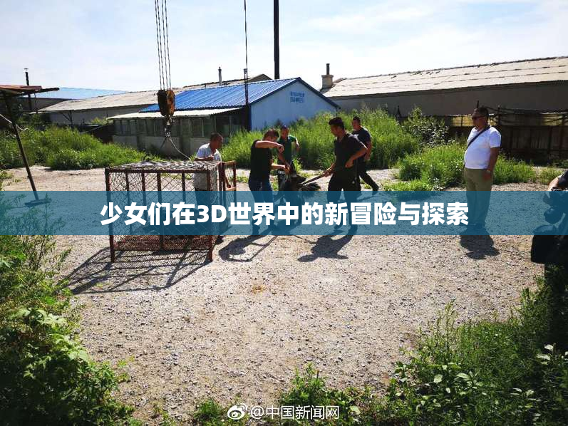 少女们在3D世界中的新冒险与探索