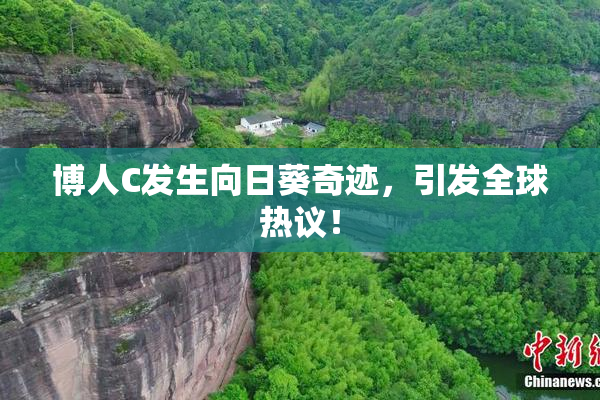 博人C发生向日葵奇迹，引发全球热议！