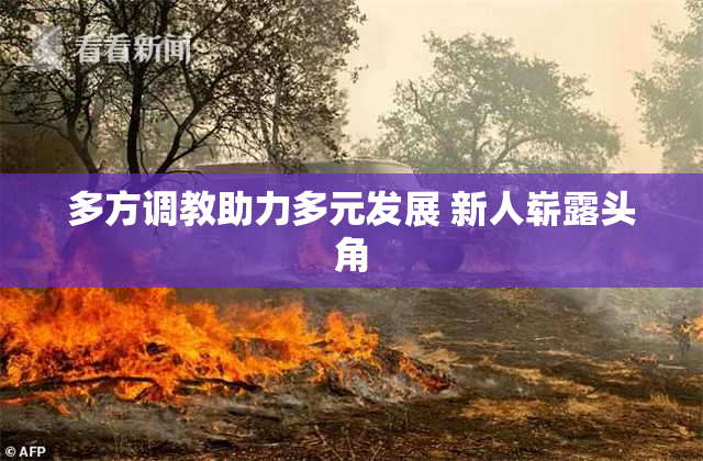 多方调教助力多元发展 新人崭露头角